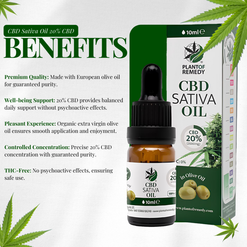 Olive Oil 20% CBD 10ML