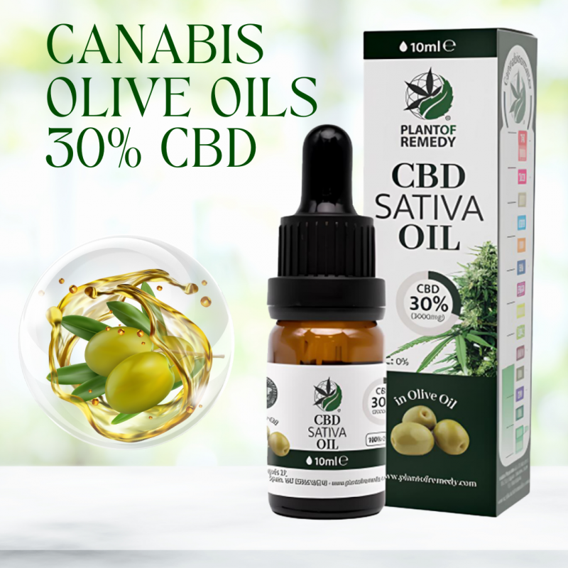 Olive Oil 30% CBD 10ML