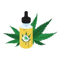OLI DI CBD | PLANTOFLIFE