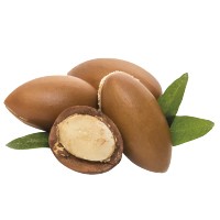 Óleos de Argan com CBD | Nutrição Profunda e Bem-Estar Natural | PLANTOFREMEDY