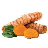 Oli di Curcuma con CBD | Benessere e Vitalità | PLANTOFREMEDY