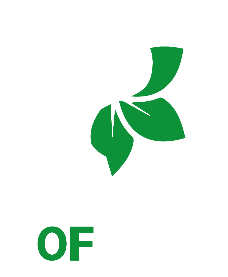 FLOWER OF LIFE